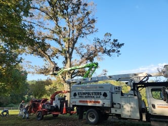 Stumpbusters Tree Service logo