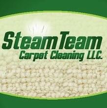 Avatar for The Steam Team Carpet Cleaning, LLC