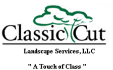 Avatar for Classic Cut Landscape Services, LLC