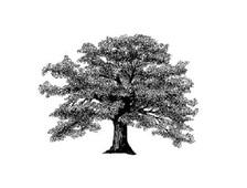 Legacy Business Services, LLC logo