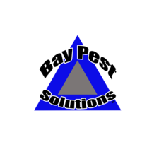 Avatar for Bay Pest Solutions - Scott Elsner, LLC