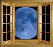 Avatar for Blue Moon Installations