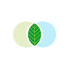 Green Designs Hawaii logo