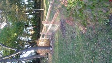 Avatar for Wroll N Fence and Deck