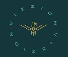 Vizzion Construction, LLC logo