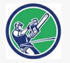 Wallace Tree Service logo