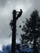 Avatar for H & M Tree Service - Home  Facebook