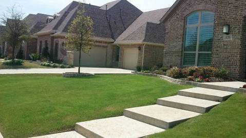 Transitional Landscape with concrete landscaping edging