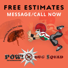 POW! Exterminating Co., Inc. | Lake Forest, CA 92630 ...