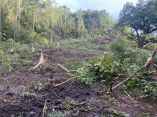 Brown's Lawncare & Landscape, LLC logo