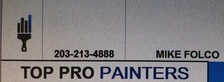 Top Pro Painters logo