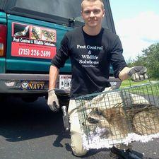 Pest Control & Wildlife Solutions, LLC | Chippewa Falls ...