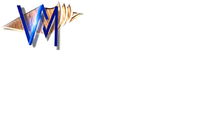 Valdez Floor Masters logo