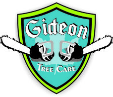 Avatar for Gideon Tree and Plow - Home  Facebook