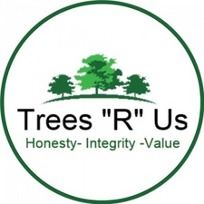 Logo for Trees R Us