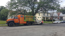 Productive Tree and Mulch, LLC logo