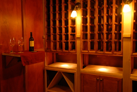 Casual / Comfortable Wine Cellar with wine tasting stand