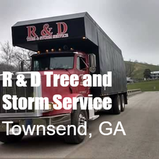 Avatar for R & D Tree and Storm Services