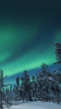 Northern Lights Electric, Inc. logo