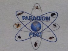 Logo for Paradigm Pest, LLC