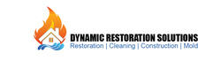 Dynamic Restoration Solutions, LLC logo