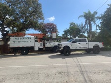 Avatar for Elias Landscaping, Inc.