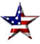 Patriot Plumbing & Sewer, Inc. logo