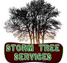 Storm Tree Services logo