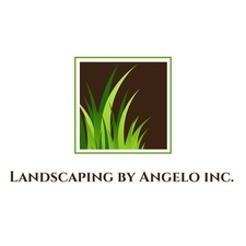 Avatar for Landscaping by Angelo
