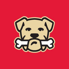Logo for Bone Dry Roofing
