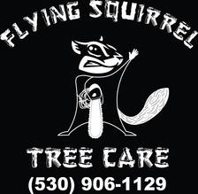 Logo for Flying Squirrel Tree Care, Inc.