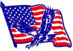American Eagle Home Improvements, Inc. logo