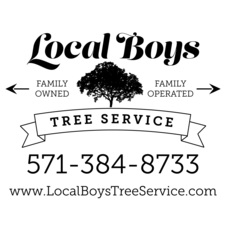 Local Boys Tree Service logo