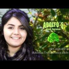 Adolfo Tree Service logo