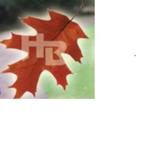 Herman Brothers Landscape Contracting, Corp. logo