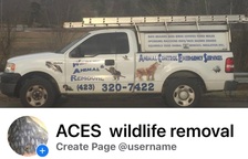 Animal Control Emergency Services, LLC logo