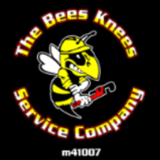 Avatar for The Bees Knees Service Co.