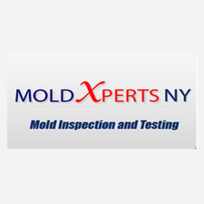 Logo for MoldXperts NY