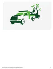 Avatar for Anthony's Tree Trimming