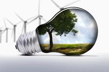 Avatar for The Green Team Electrical Services, LLC