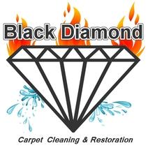 Avatar for Black Diamond Carpet Cleaning & Restoration, LLC
