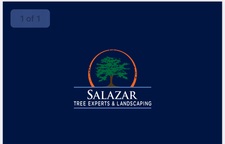 Salazar Landscaping logo