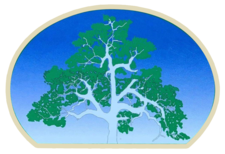 Tree MD Tree Care, LLC logo