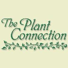 Avatar for The Plant Connection