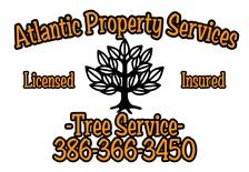 Avatar for Atlantic Property Services Florida, LLC