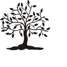Avatar for Plusone Landscaping - Home Facebook
