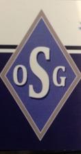 Orlando Seamless Gutters logo