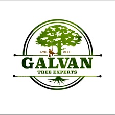 Avatar for Galvan Tree Experts