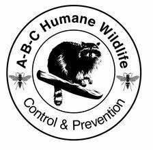 Avatar for ABC Humane Wildlife Control & Prevention, Inc.