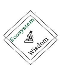 EcoSystem Wisdom logo